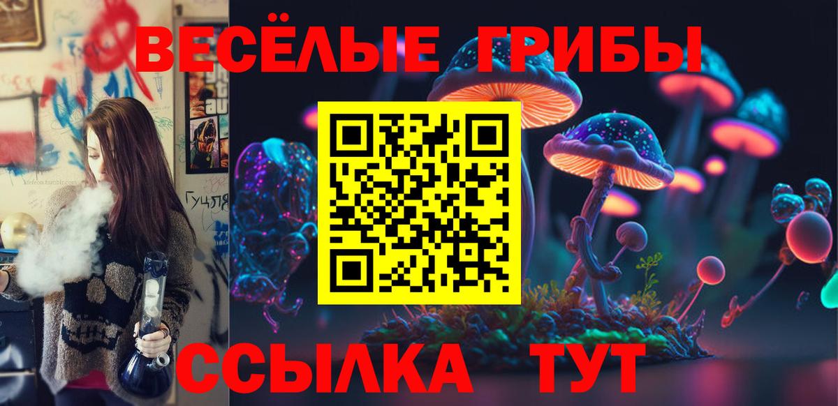  КОКАИН Балтийск