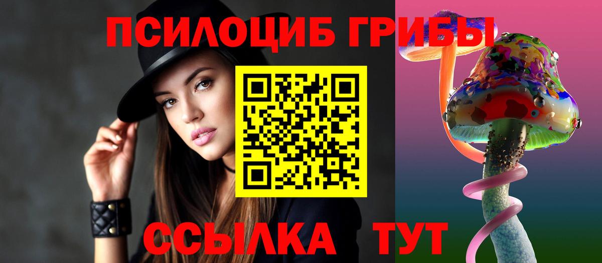Псилоцибиновые грибы MAGIC MUSHROOMS Балтийск